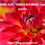PRESSIONE ALTA ? RIMEDI NATURALI : biancospino, passiflora e molti altri ... 2 Pressione Alta ? Rimedi Naturali : Biancospino, Passiflora E Molti Altri ...