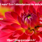 Pronti per il mare? Ecco l'alimentazione che aiuta la tintarella! 2 Pronti Per Il Mare? Ecco L'alimentazione Che Aiuta La Tintarella!
