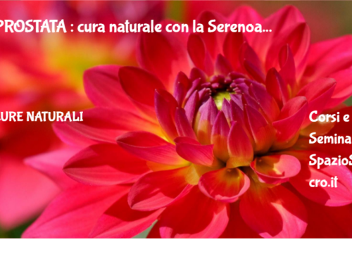 PROSTATA : cura naturale con la Serenoa 16 Prostata : Cura Naturale Con La Serenoa