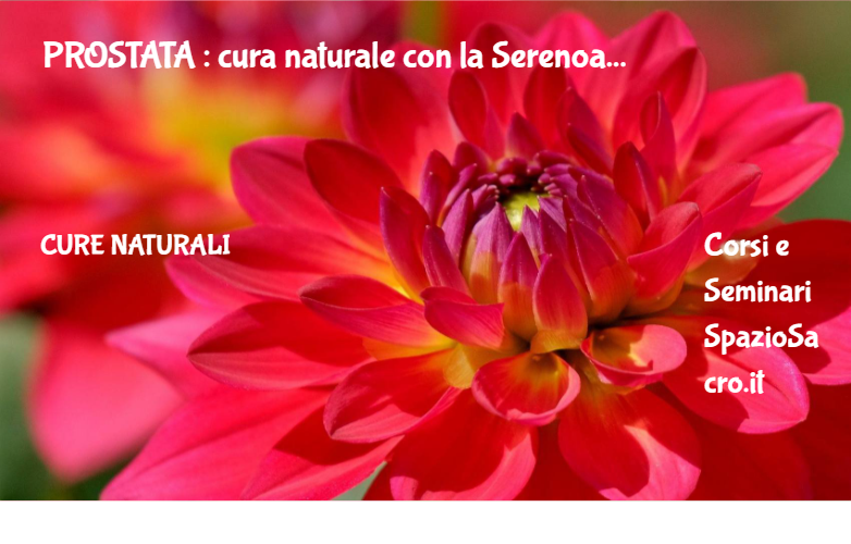 Prostata : Cura Naturale Con La Serenoa