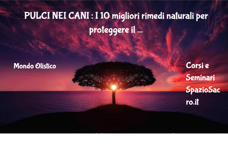 Pulci Nei Cani : I 10 Migliori Rimedi Naturali Per Proteggere Il Cane Dalle Pulci