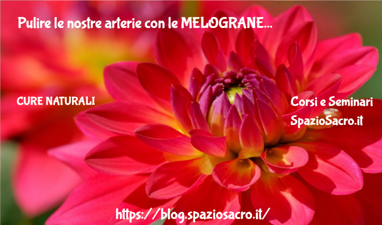 Pulire Le Nostre Arterie Con Le Melograne