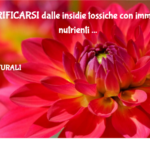 PURIFICARSI dalle insidie tossiche con immuno-nutrienti essenziali e disintossicazione 4 Purificarsi Dalle Insidie Tossiche Con Immuno Nutrienti Essenziali E Disintossicazione