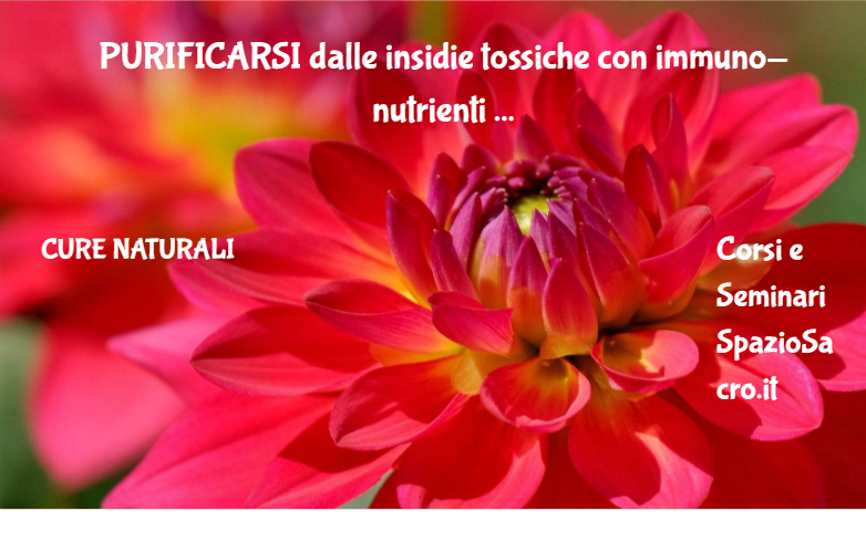 Purificarsi Dalle Insidie Tossiche Con Immuno Nutrienti Essenziali E Disintossicazione