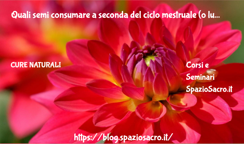 Quali Semi Consumare A Seconda Del Ciclo Mestruale (o Lunare)