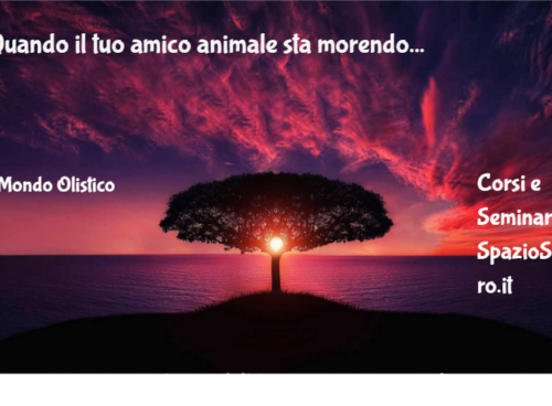 Quando Il Tuo Amico Animale Sta Morendo