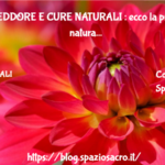 RAFFREDDORE E CURE NATURALI : ecco la pronta cura naturale 2 Raffreddore E Cure Naturali : Ecco La Pronta Cura Naturale
