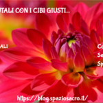 Reni : Aiutali Con I Cibi Giusti