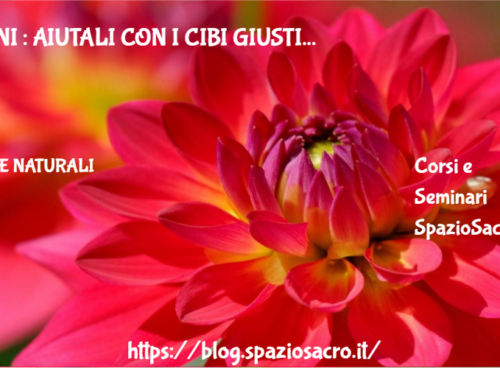 Reni : Aiutali Con I Cibi Giusti