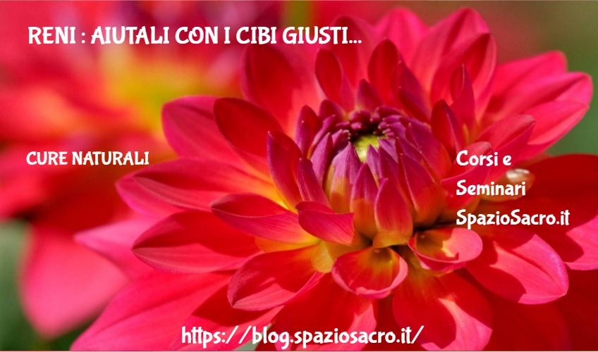 Reni : Aiutali Con I Cibi Giusti
