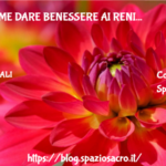Reni : Come Dare Benessere Ai Reni