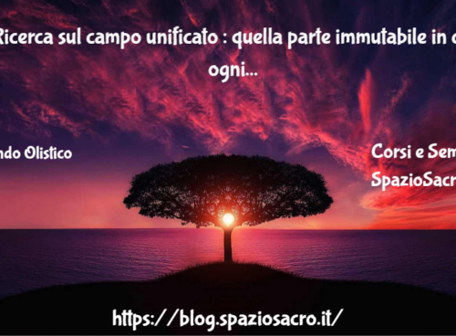 Ricerca sul campo unificato : quella parte immutabile in cui ogni porzione di spazio riposa 40 Ricerca Sul Campo Unificato : Quella Parte Immutabile In Cui Ogni Porzione Di Spazio Riposa