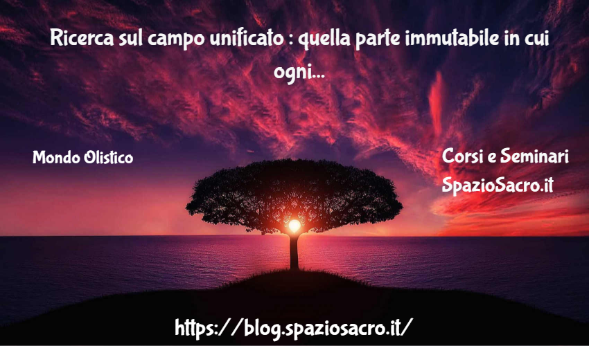 Ricerca sul campo unificato : quella parte immutabile in cui ogni porzione di spazio riposa 1 Ricerca Sul Campo Unificato : Quella Parte Immutabile In Cui Ogni Porzione Di Spazio Riposa