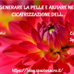 Rigenerare La Pelle E Aiutare Nella Cicatrizzazione Delle Ferite : Olio Vegetale Di Avocado