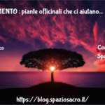 RILASSAMENTO : piante officinali che ci aiutano 2 Rilassamento : Piante Officinali Che Ci Aiutano