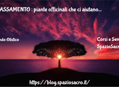Rilassamento : Piante Officinali Che Ci Aiutano
