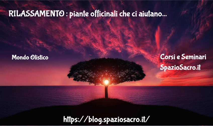 RILASSAMENTO : piante officinali che ci aiutano 1 Rilassamento : Piante Officinali Che Ci Aiutano