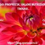 Riso rosso: proprieta', valori nutrizionali, dove trovarlo e migliore cottura 3 Riso Rosso: Proprieta', Valori Nutrizionali, Dove Trovarlo E Migliore Cottura