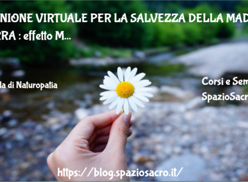RIUNIONE VIRTUALE PER LA SALVEZZA DELLA MADRE TERRA : effetto Maharishi 72 Riunione Virtuale Per La Salvezza Della Madre Terra : Effetto Maharishi