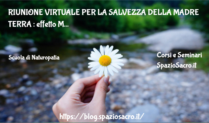 Riunione Virtuale Per La Salvezza Della Madre Terra : Effetto Maharishi