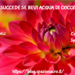 Sai cosa succede se bevi acqua di cocco? 2 Sai Cosa Succede Se Bevi Acqua Di Cocco?