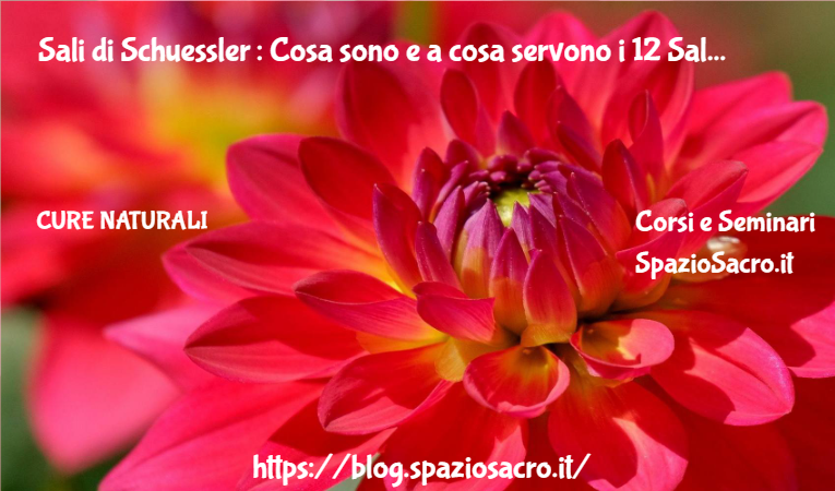 Sali di Schuessler : Cosa sono e a cosa servono i 12 Sali di Schuessler 1 Sali Di Schuessler : Cosa Sono E A Cosa Servono I 12 Sali Di Schuessler