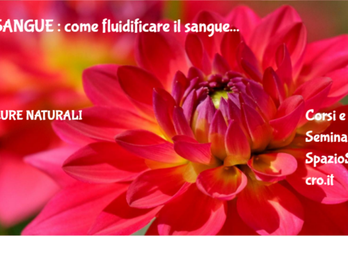 SANGUE : come fluidificare il sangue 65 Sangue : Come Fluidificare Il Sangue