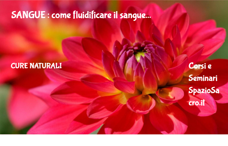 Sangue : Come Fluidificare Il Sangue