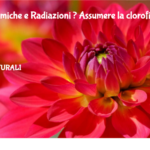 Scie Chimiche E Radiazioni ? Assumere La Clorofilla Per Aumentare La Resistenza Del Nostro Organismo