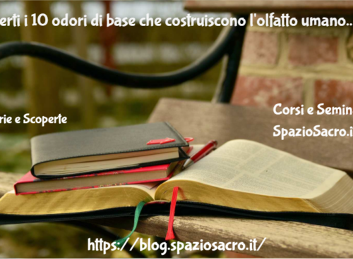 Scoperti i 10 odori di base che costruiscono l'olfatto umano 40 Scoperti I 10 Odori Di Base Che Costruiscono L'olfatto Umano