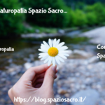 Scuola di Naturopatia "Spazio Sacro" 2 Scuola Di Naturopatia Spazio Sacro