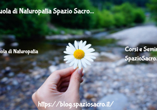 Scuola di Naturopatia "Spazio Sacro" 5 Scuola Di Naturopatia Spazio Sacro