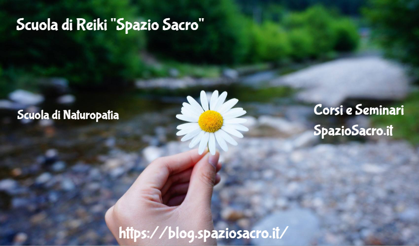 Scuola di Reiki "Spazio Sacro" 1 Scuola Di Reiki "spazio Sacro"