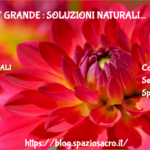 Seno Piu' Grande : Soluzioni Naturali
