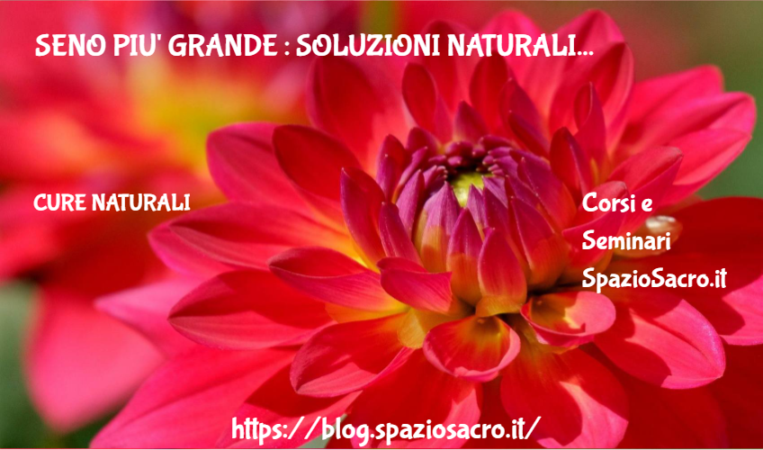 Seno Piu' Grande : Soluzioni Naturali
