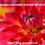 SENO : Rassodare e aumentare il volume del seno in modo naturale 3 Seno : Rassodare E Aumentare Il Volume Del Seno In Modo Naturale