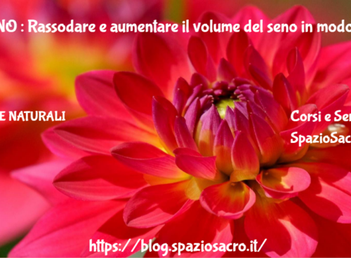 SENO : Rassodare e aumentare il volume del seno in modo naturale 53 Seno : Rassodare E Aumentare Il Volume Del Seno In Modo Naturale