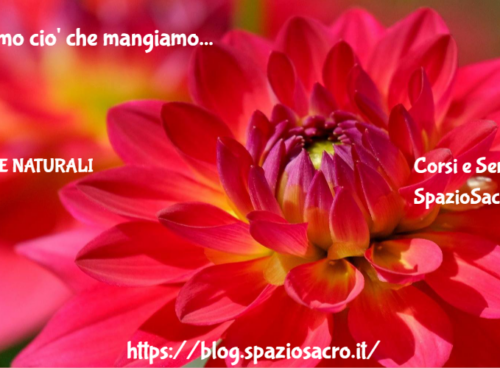 Siamo Cio' Che Mangiamo