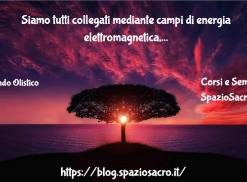 Siamo Tutti Collegati Mediante Campi Di Energia Elettromagnetica, Interconnessi Da Una Sorta Di Internet Naturale