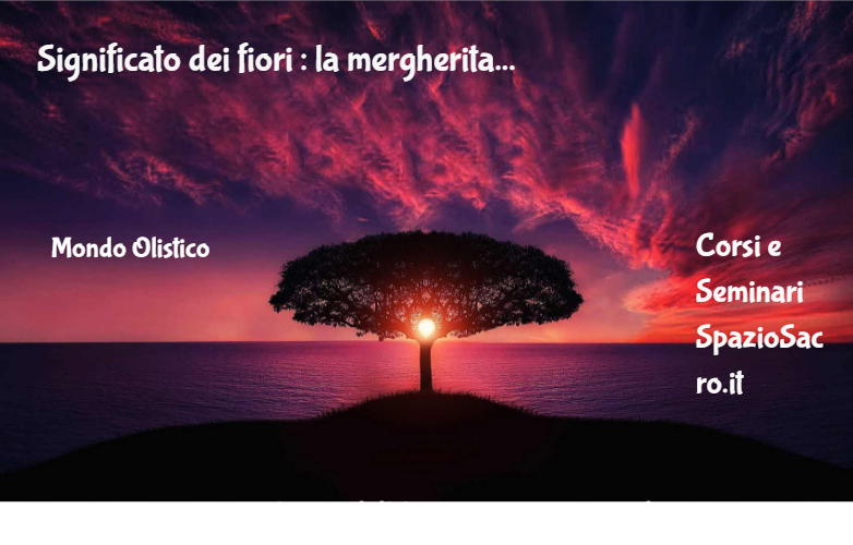 Significato Dei Fiori : La Mergherita