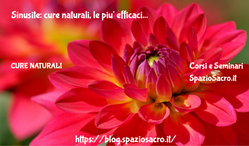 Sinusite: cure naturali, le piu' efficaci 1 Sinusite: Cure Naturali, Le Piu' Efficaci