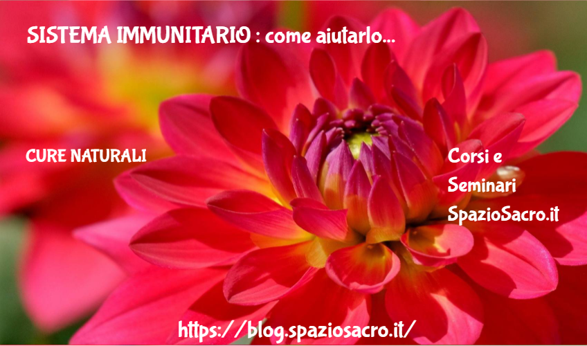 Sistema Immunitario : Come Aiutarlo
