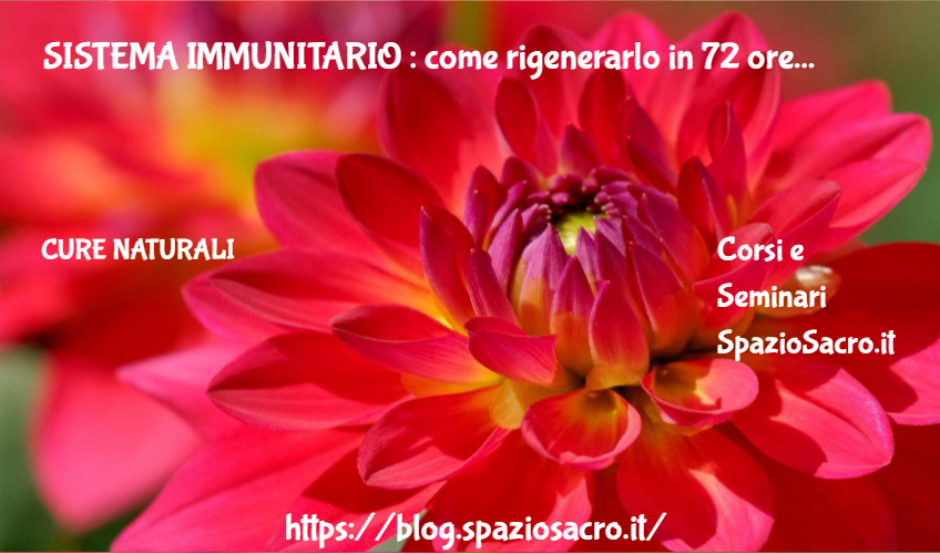 Sistema Immunitario : Come Rigenerarlo In 72 Ore