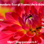 Sistema immunitario: Ecco gli 11 nemici che lo distruggono ! 2 Sistema Immunitario: Ecco Gli 11 Nemici Che Lo Distruggono !