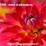 Smagliature : Rimedi Di Erboristeria