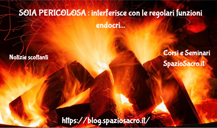 Soia Pericolosa : Interferisce Con Le Regolari Funzioni Endocrine Dell'organismo