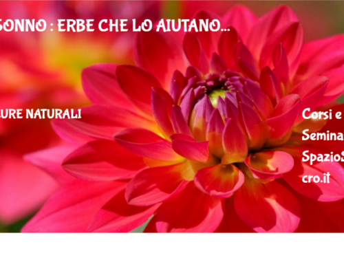 Sonno : erbe che lo aiutano 96 Sonno : Erbe Che Lo Aiutano