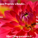 Spezie Indiane: Proprieta' E Benefici