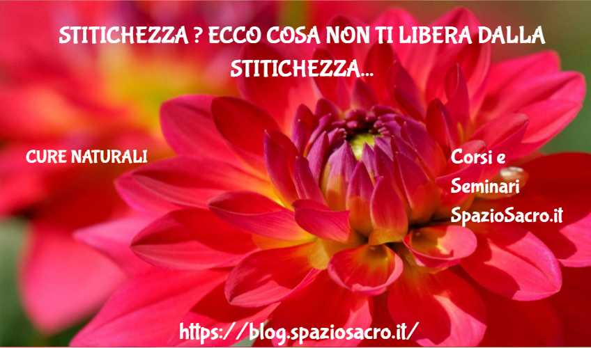 Stitichezza ? Ecco cosa non ti libera dalla stitichezza 1 Stitichezza ? Ecco Cosa Non Ti Libera Dalla Stitichezza