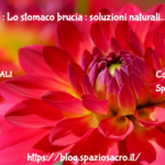 Stomaco : Lo Stomaco Brucia : Soluzioni Naturali